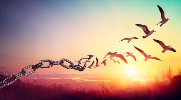 7 Powerful Bible Verses About Marine Spirits to Break Free 1 bible verses about marine spirits 1